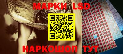 шишки Берёзовский