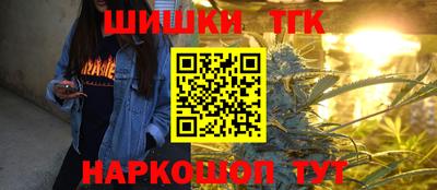 индика Бийск
