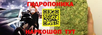 индика Бийск