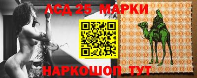 apvp Беслан