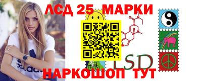 шишки Берёзовский