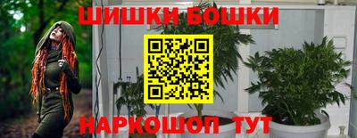 шишки Берёзовский
