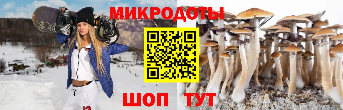 Зерноград  Псилоцибиновые грибы Psilocybine cubensis  Галлюциногенные грибы Psilocybe  Вход с VPN 